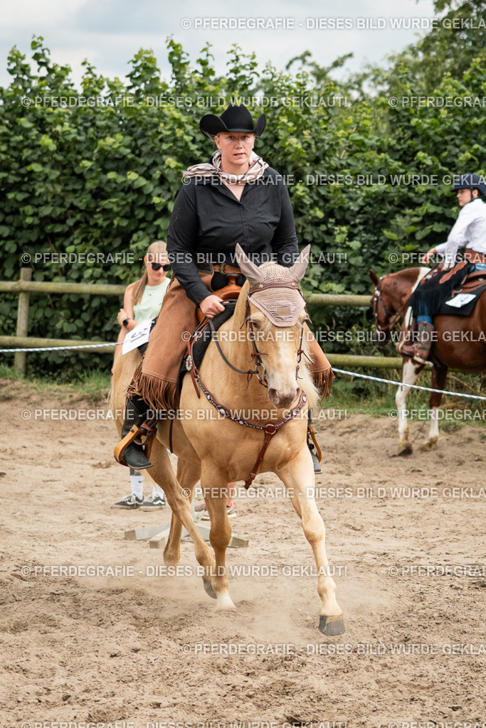 DSC03414 | Pferdegrafie