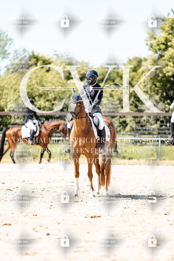 CK905712 | Turnierfotografie Pferdefotografie Trier Rheinland-Pfalz Pferdesport Reitsport Tierfotografie Sportfotografie Pferdevideo Pferdevideografie Equestrianvideography equestrianphotography  - Realisiert mit Pictrs.com