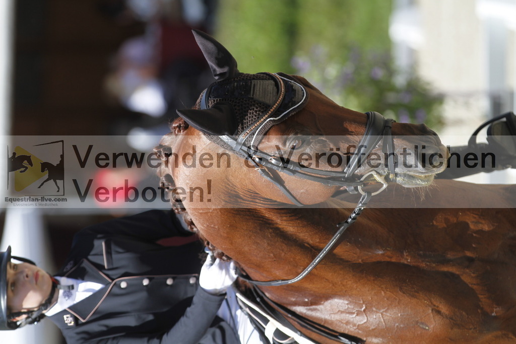 _MG_0109 | equestrian-live-com