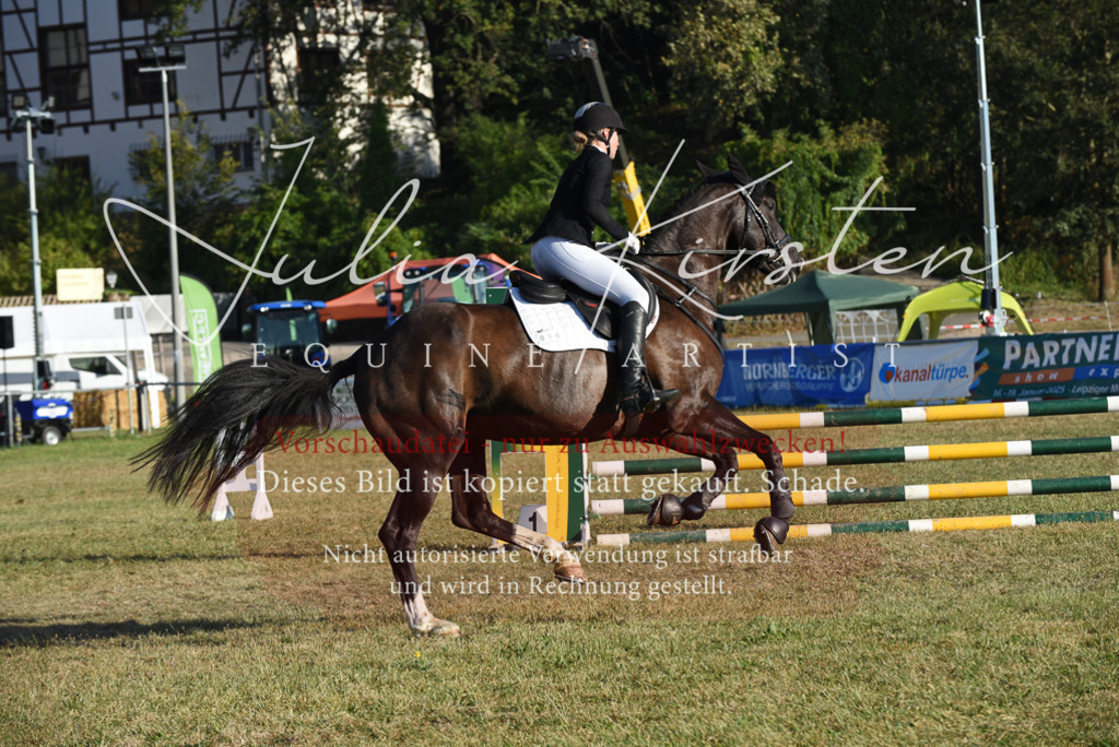 DSC_5029 | Pferde- und Turnierfotografie in Westsachsen. Pferdeportraits, Auftragszeichnungen und intuitive Kunst.