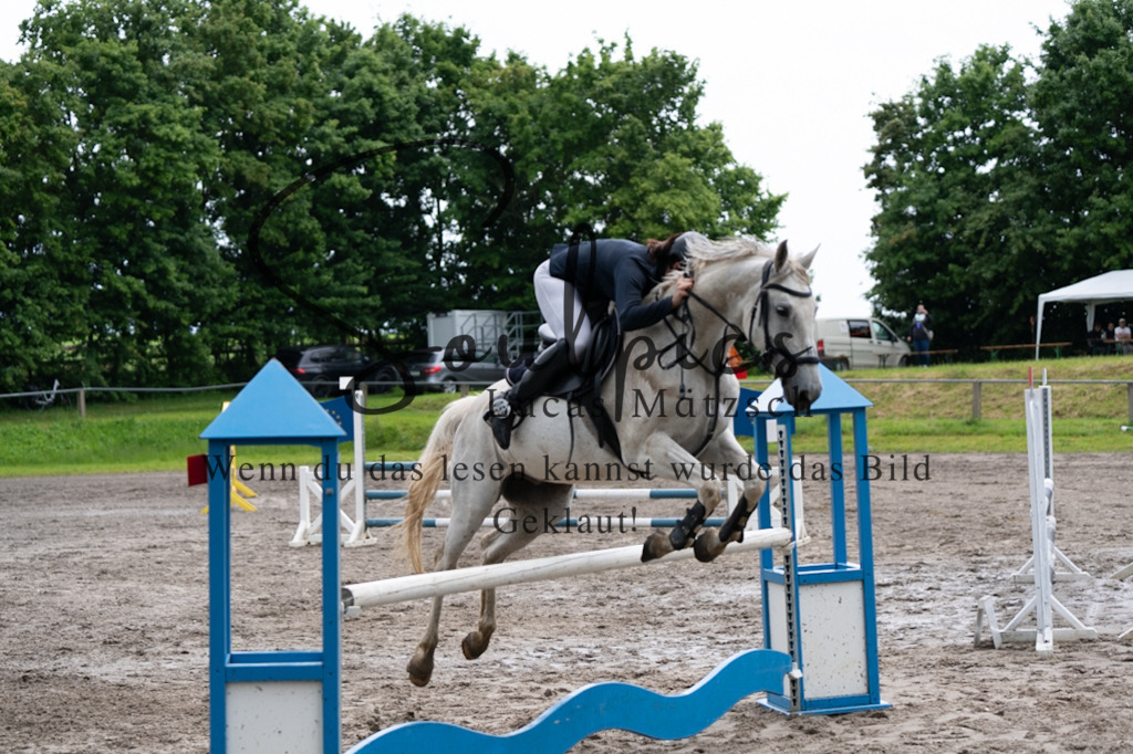 A7V04024 | Pferdefotograf