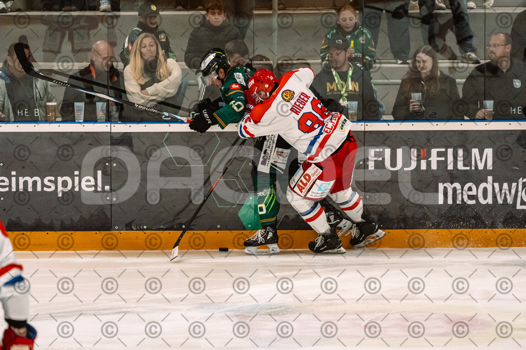 Alligators_vs_Peiting_04_10_2026-38 | Die Fotogalerie von Daddel: professionelle Bilder von Sport, Events und Unternehmen aus Franken. Jetzt Galerien durchstöbern und Lieblingsfotos bestellen. - Realisiert mit Pictrs.com