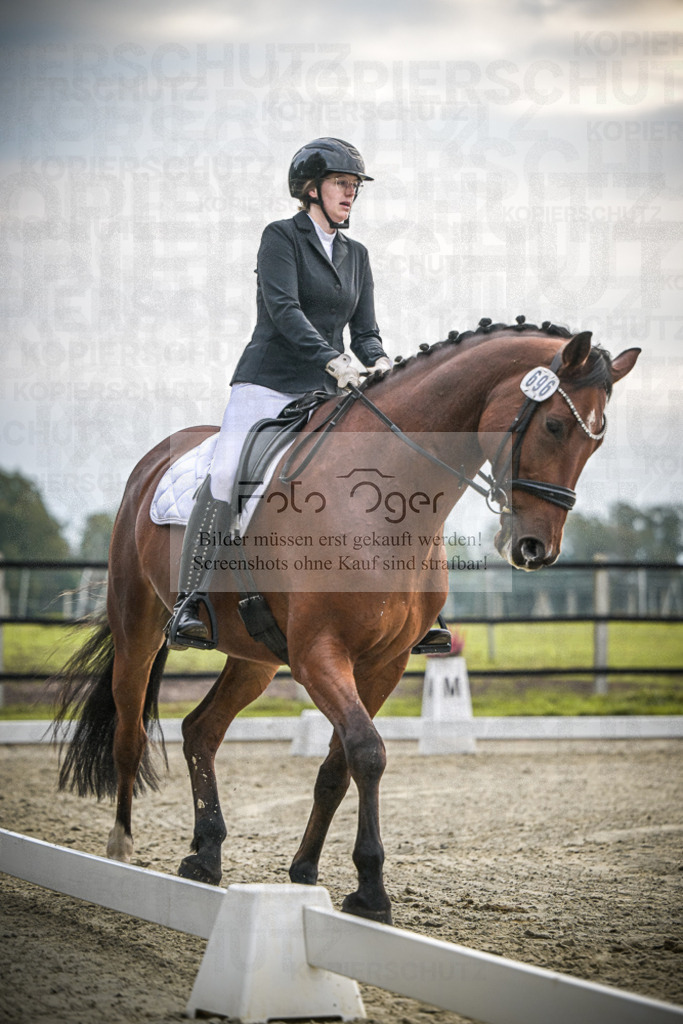 DOS_1788 | Entdecke hochwertige Reitturnierfotos von Foto Oger. Professionell, emotional und authentisch – jetzt Lieblingsmomente im Shop bestellen.Deutschlandweite Turnierfotografie. - Realisiert mit Pictrs.com