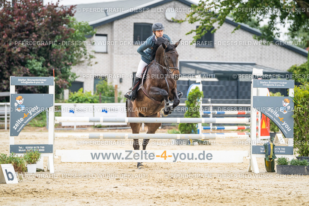 DSC00284 | Pferdegrafie