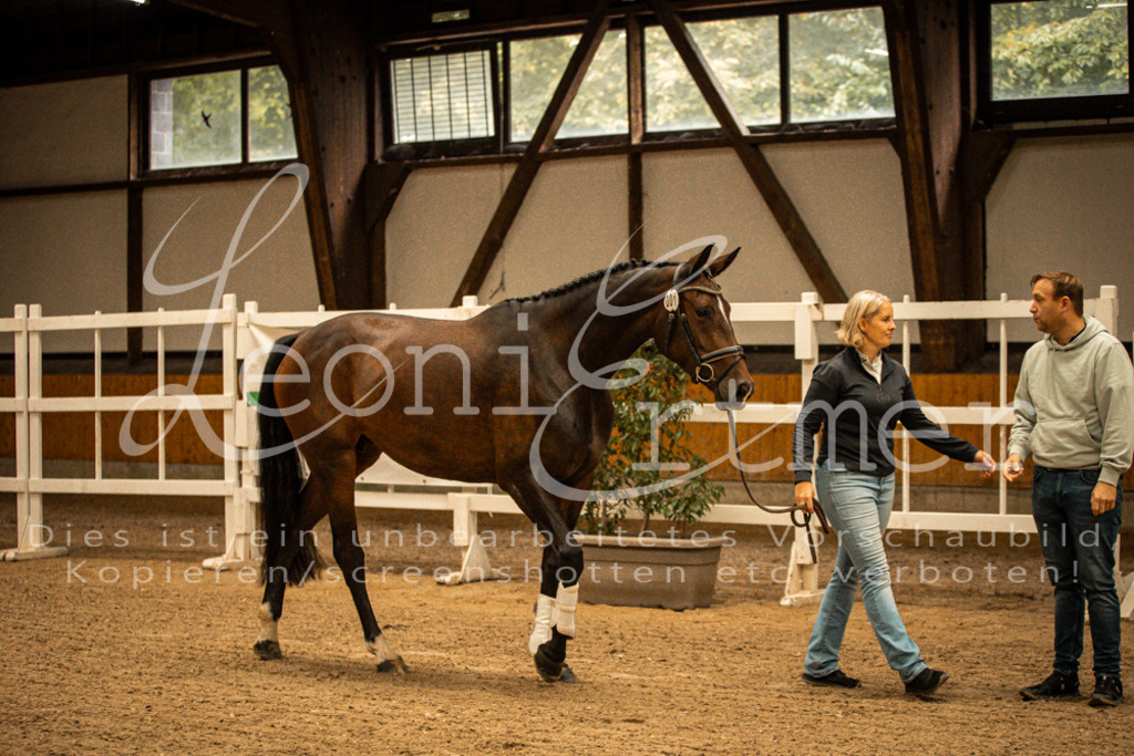 1FS_L00026 | Leoni Ertmer Photography - Realisiert mit Pictrs.com