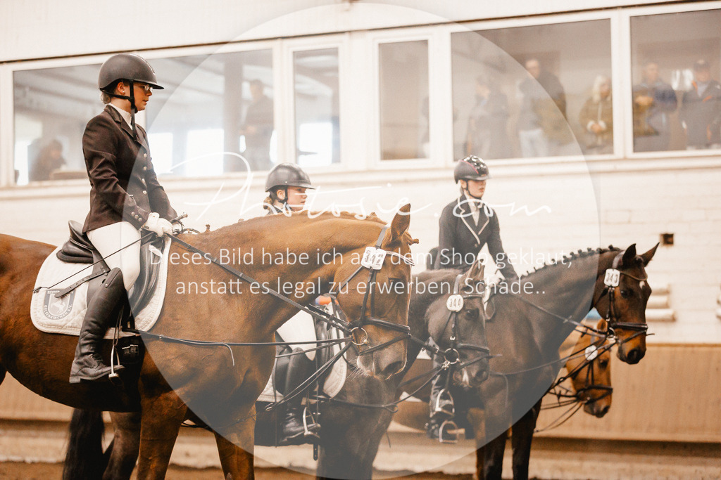 3I6A6200 | Stimmungsvolle Portraits und Reitsportfotografie im Ruhrgebiet und im Münsterland.

Pferdefotografie, Hundefotografie, Tierfotografie, Reportagen, Portraits von Tier und Mensch, Turnierfotografie in Bochum, Recklinghausen, Marl, Haltern am See, Dülmen.. - Realisiert mit Pictrs.com