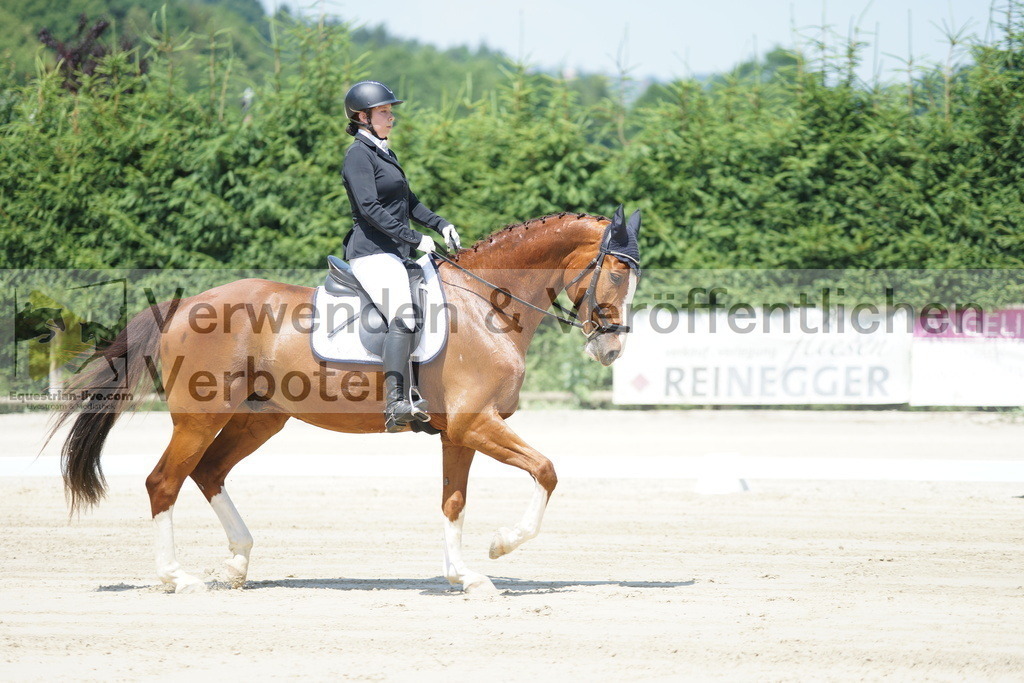 DSC04772 | equestrian-live-com