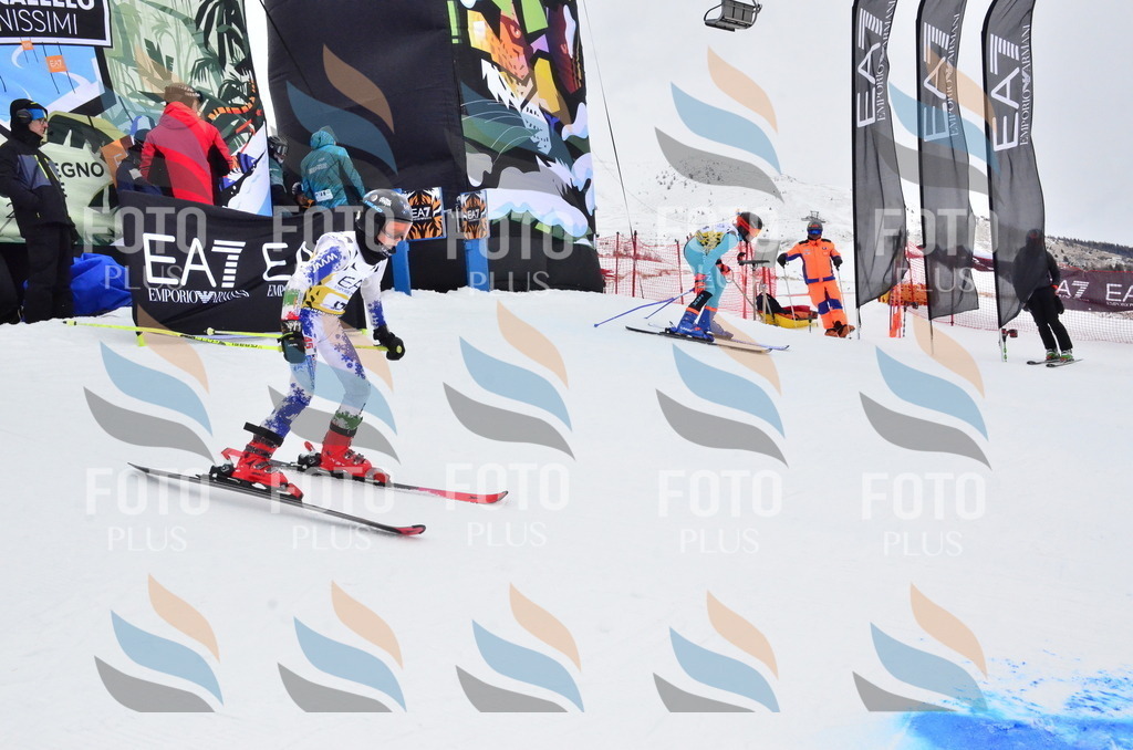 _ELE4148 | holidayphoto