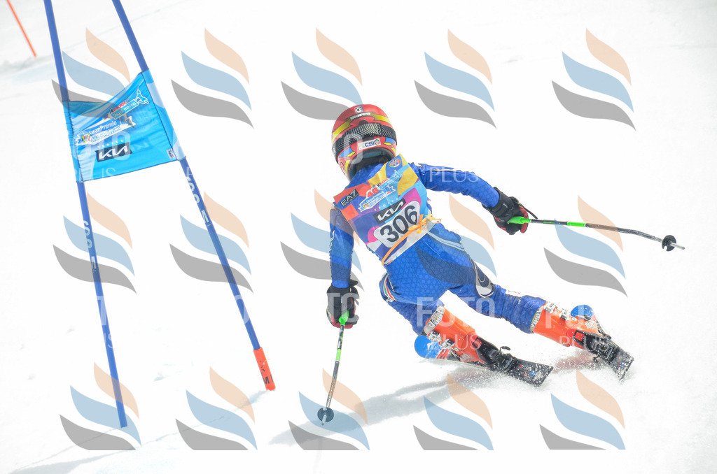 _ELE8335 | holidayphoto