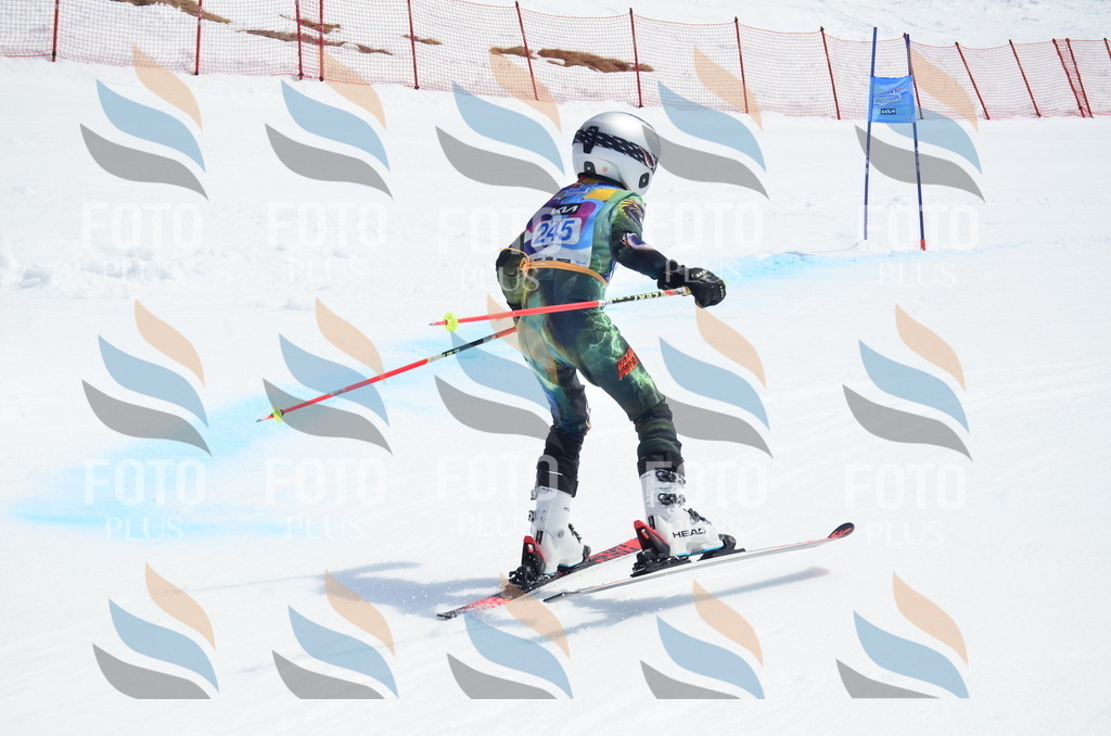 _ELE1783 | holidayphoto