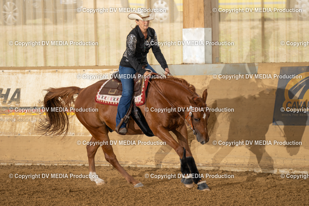 LAU01644_3 | dv-media-shop - Realisiert mit Pictrs.com