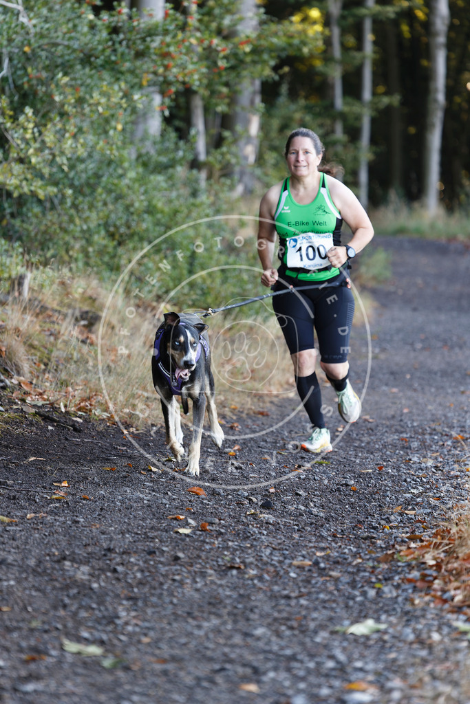 0L8A2268 | Hundefotografie, Tierfotograf, Pfotenfotografie, Fotoshooting Hund, Hunde Portrait, Hundesport, Hundeportraits, Heideshooting, Hunde, Sportfotograf, Hundefotograf, Turnierhundsport, THS,  - Realisiert mit Pictrs.com