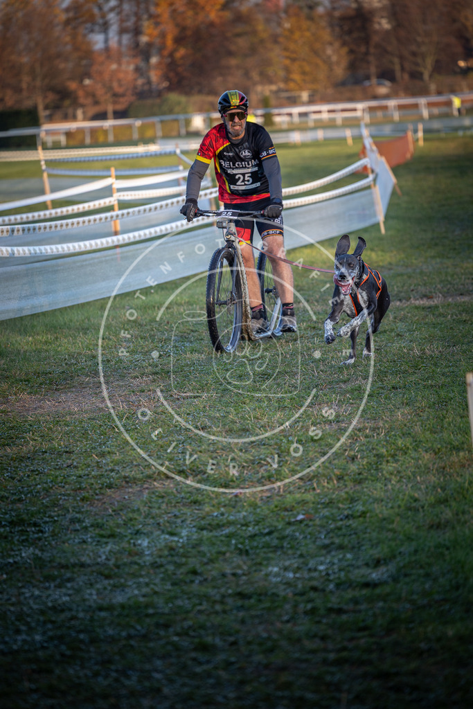 CaniXpix_0L8A1725 | Hundefotografie, Tierfotograf, Pfotenfotografie, Fotoshooting Hund, Hunde Portrait, Hundesport, Hundeportraits, Heideshooting, Hunde, Sportfotograf, Hundefotograf, Turnierhundsport, THS,  - Realisiert mit Pictrs.com