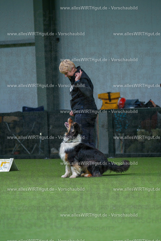 7R506087 | Professionelle Tierfotografie in Mönchengladbach von Daniel Wirth (allesWIRTHgut). Liebevolle & natürliche Bilder von Hunden & Katzen für unvergessliche Erinnerungen.