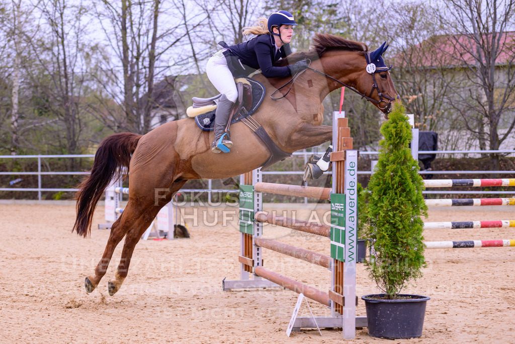 12042026-Mammendorf-Prfg42-0027 | Fokus Hufschlag Fotografie - Realisiert mit Pictrs.com