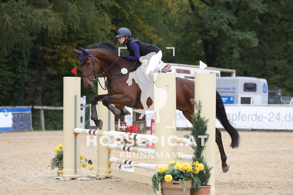 0P6A1990 | Willkommen bei Brunnmayr - Design & Fotografie – Ihrem Spezialisten für Reitturniere und Pferdeveranstaltungen in Oberösterreich, Salzburg und Bayern! Seit über 17 Jahren sind wir leidenschaftlich dabei.
