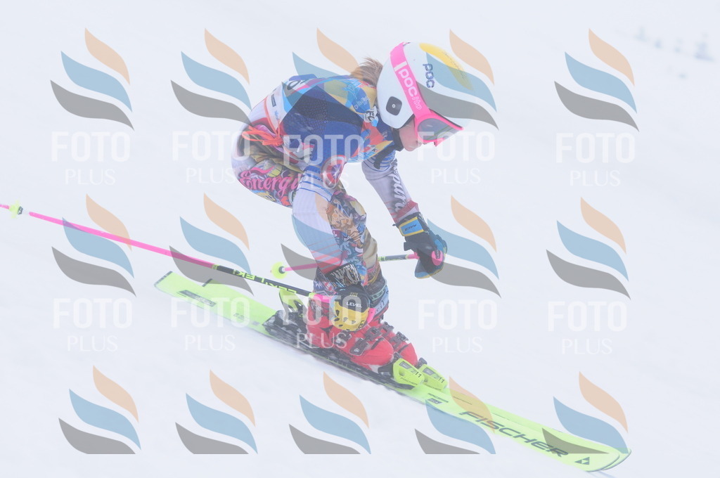 C2040 | holidayphoto