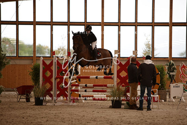 1J2A3350Jasmin Selke-John_ Catharina 16_ Kn094_ Hohen Wieschendorf_ Glantz | Foto- und Videografie für alles rund ums Pferd. Hochwertige Bilder und Videos vom Spring- und Dressurreiten, Voltigieren & mehr. Jetzt aktuelle Veranstaltungen und Preise im Shop ansehen. - Realisiert mit Pictrs.com