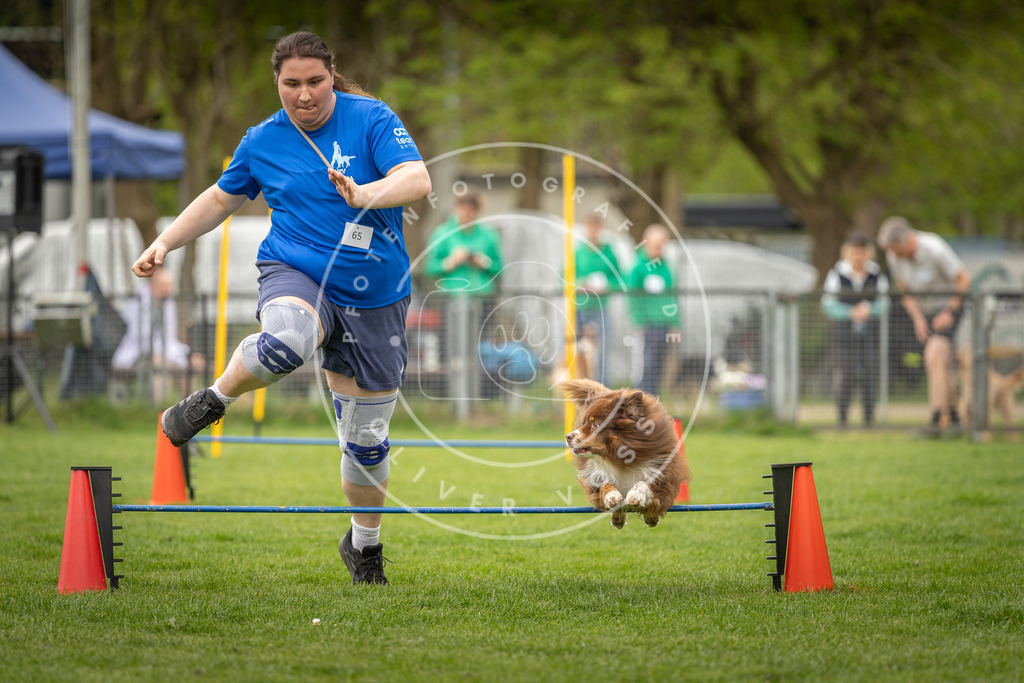 Pfotenfotografie_DV3A2606 | Hundefotografie, Tierfotograf, Pfotenfotografie, Fotoshooting Hund, Hunde Portrait, Hundesport, Hundeportraits, Heideshooting, Hunde, Sportfotograf, Hundefotograf, Turnierhundsport, THS,  - Realisiert mit Pictrs.com