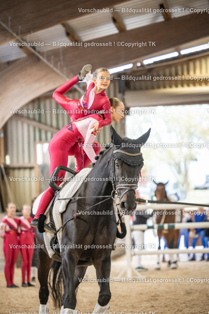 _D5A2956 | Emotionale Pferde- & People-Fotografie rund um Heidelberg, Leimen & Umgebung. Natürliche Fotos von Pferd, Mensch & Familie. Jetzt Termin sichern!