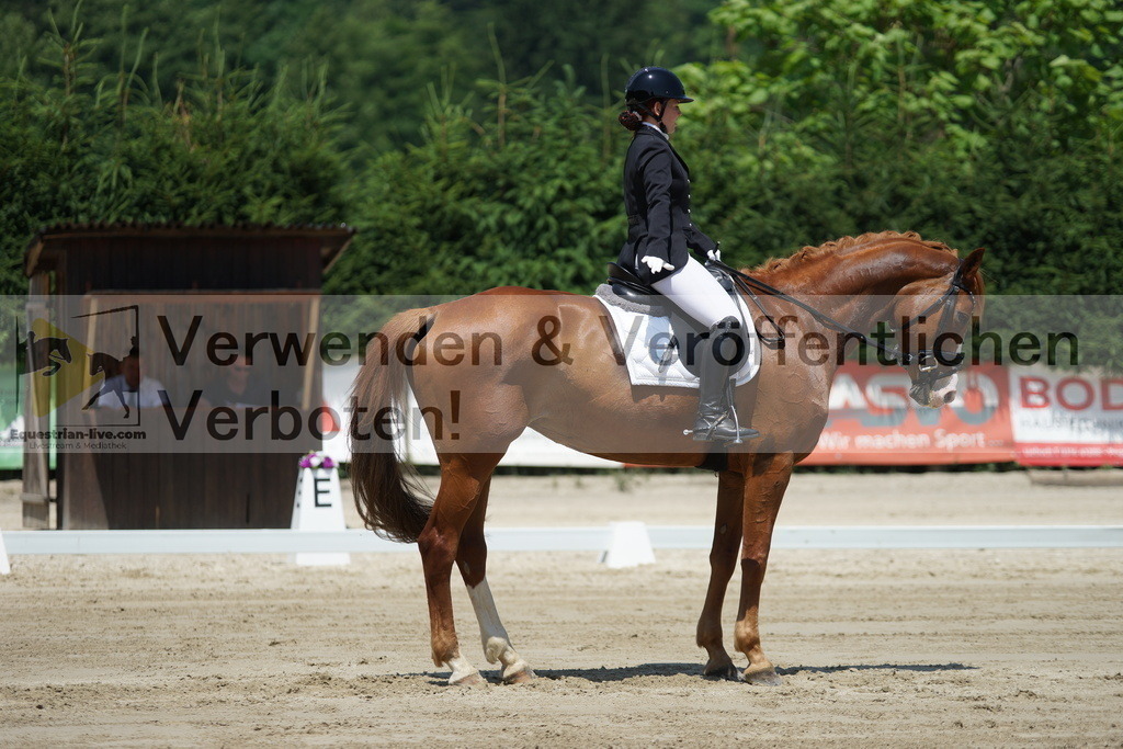 DSC04899 | equestrian-live-com
