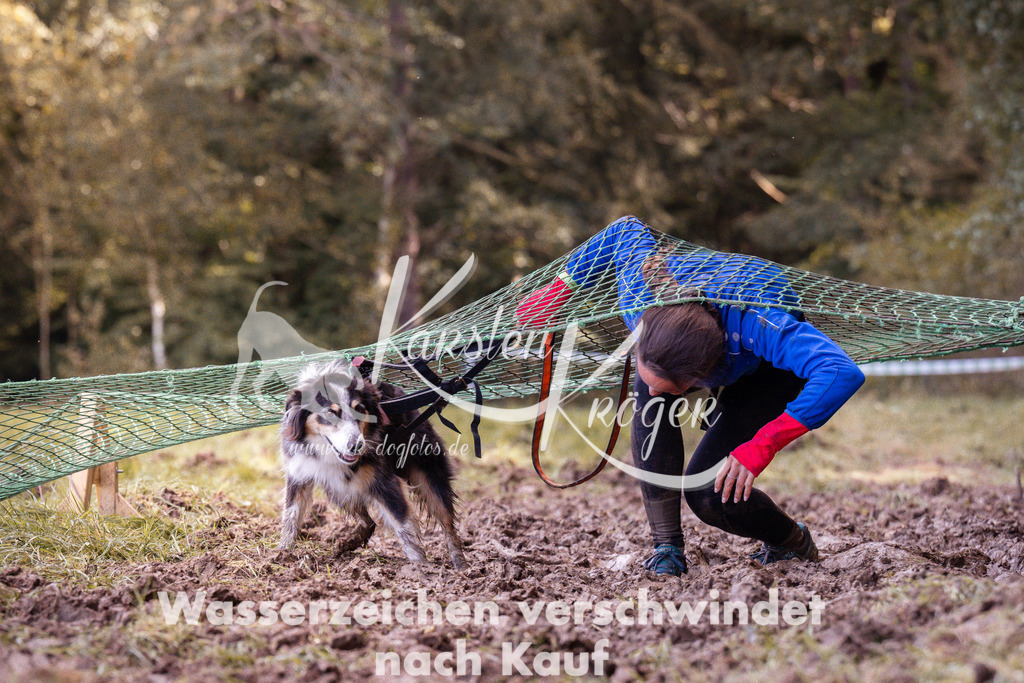 1244_ZZ91006 | kk-dogfotos