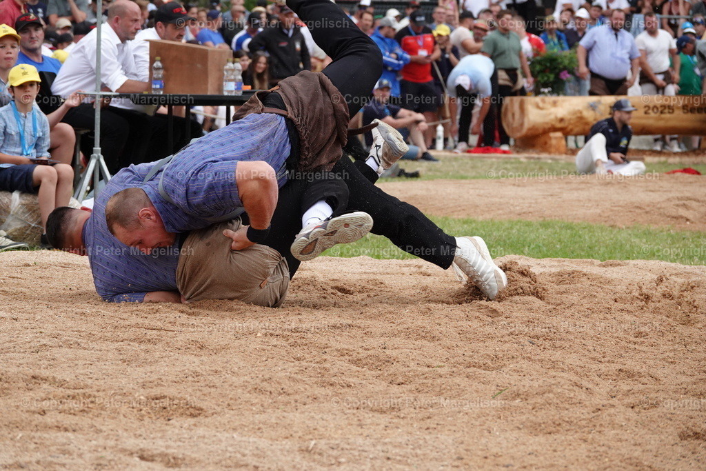 DSC01265 | Schwingen - Realisiert mit Pictrs.com