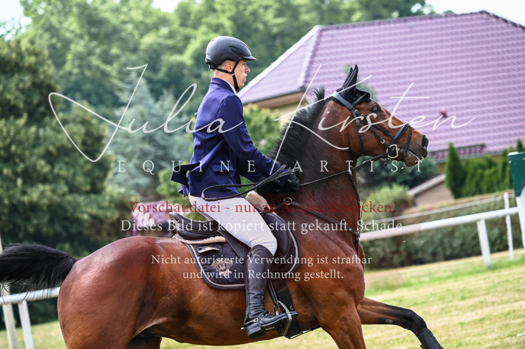 DSC_8395 | Pferde- und Turnierfotografie in Westsachsen. Pferdeportraits, Auftragszeichnungen und intuitive Kunst.