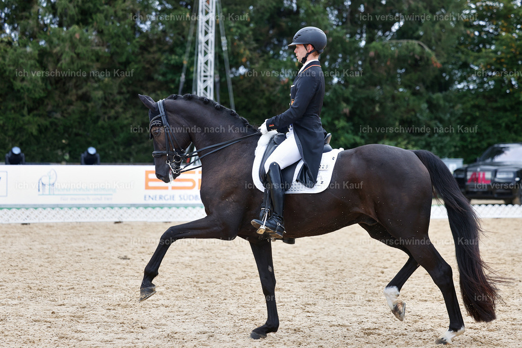 12-229-DRESSUR  S___  -StoibPH-5337 | working equitationturnier fotograf videograf stoibphotography marixx film working equitation deutschland reitsport turnierfotografie eventfotografie equestrian events