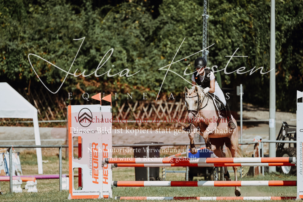 DSC_9926 | Pferde- und Turnierfotografie in Westsachsen. Pferdeportraits, Auftragszeichnungen und intuitive Kunst.