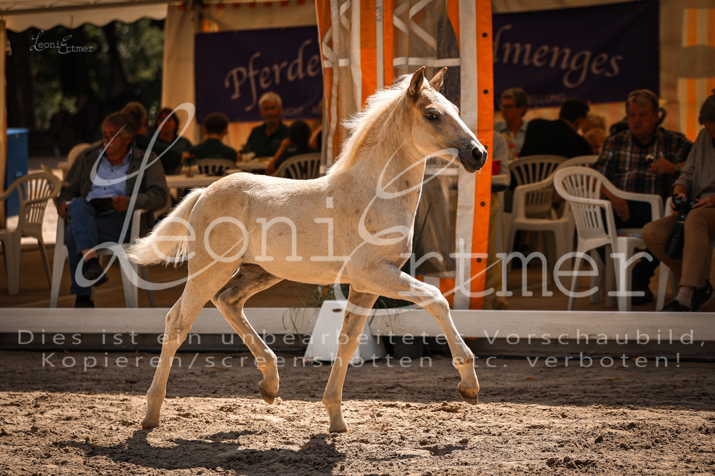 06.DoH00131 | Leoni Ertmer Photography - Realisiert mit Pictrs.com