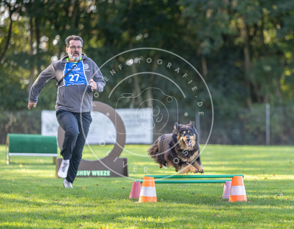 Pfotenfotografie.de_DV3A3531 | Hundefotografie, Tierfotograf, Pfotenfotografie, Fotoshooting Hund, Hunde Portrait, Hundesport, Hundeportraits, Heideshooting, Hunde, Sportfotograf, Hundefotograf, Turnierhundsport, THS, canicross - Realisiert mit Pictrs.com
