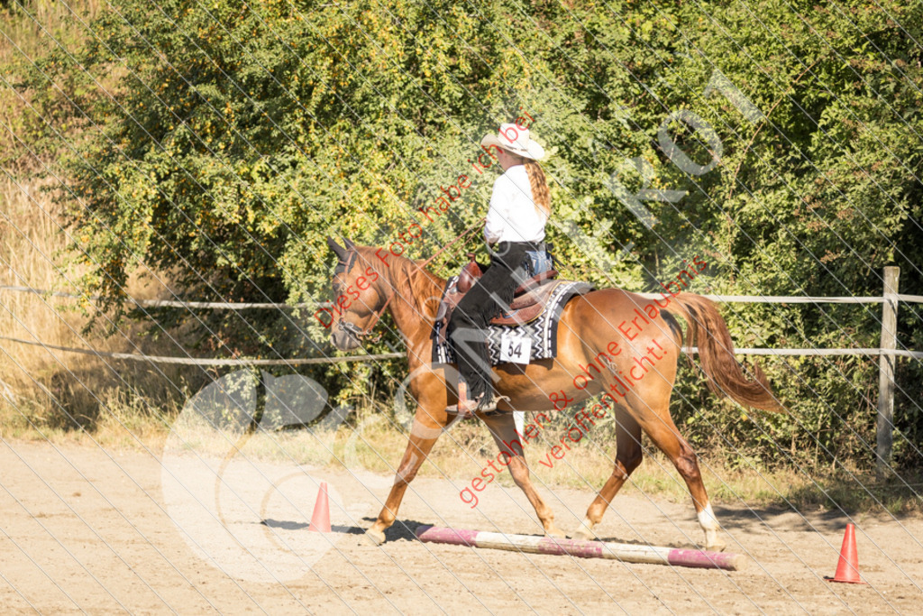 IMG_6949 | Sport-, Event- und Tierfotos in Profiqualität. Einfach auswählen, bestellen und herunterladen. Dein Moment – perfekt festgehalten.