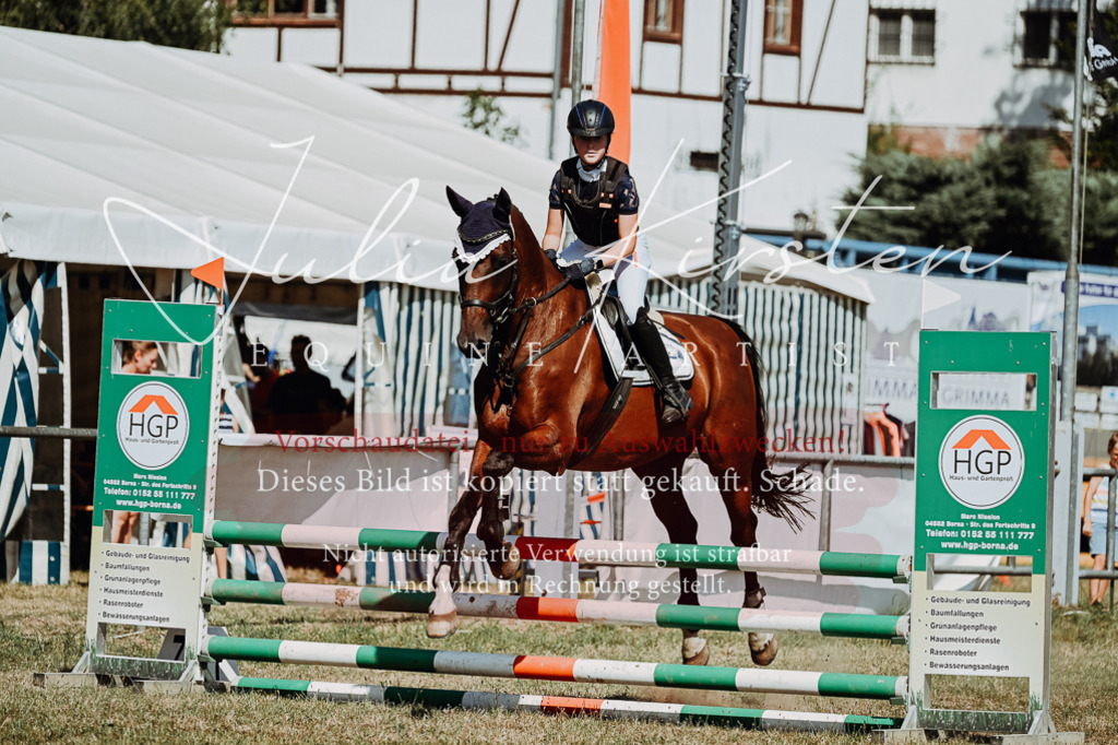DSC_9807 | Pferde- und Turnierfotografie in Westsachsen. Pferdeportraits, Auftragszeichnungen und intuitive Kunst.