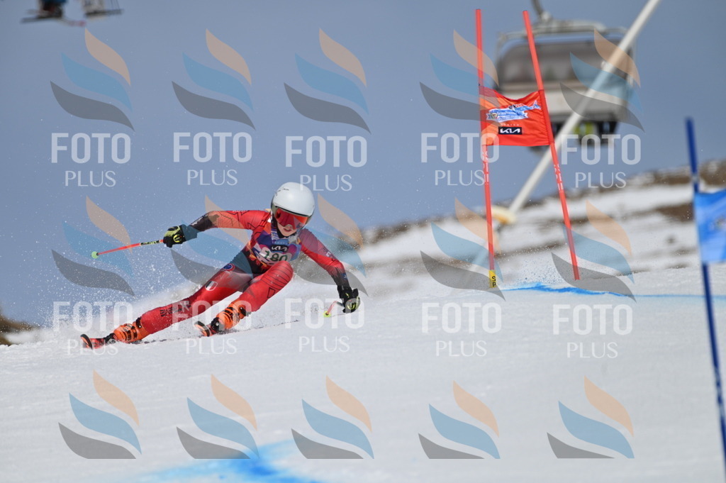 BGV_3529 | holidayphoto