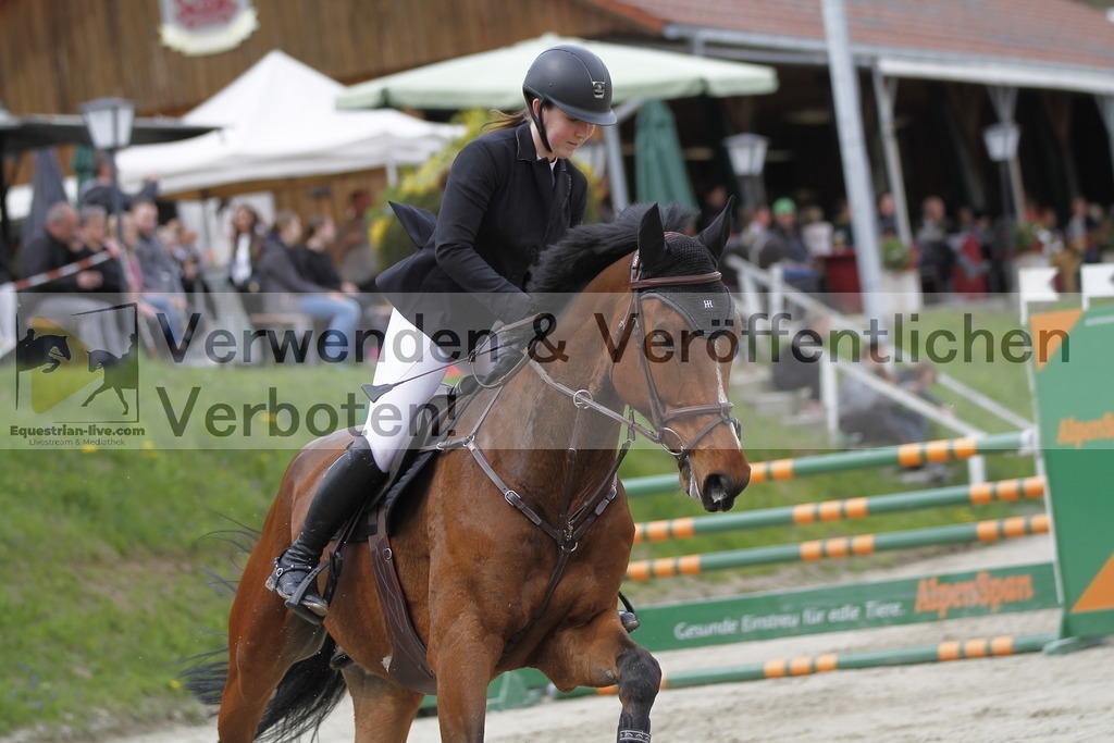 _MG_4198 | equestrian-live-com