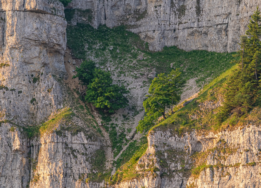 Morgenstimmung am Creux du Van | Oberhalb der Areuse-Schlucht thront die Felswand des Creux du Van im Schweizer Juragebirge. Im Sommer geht die Sonne im Osten auf und hüllt die Felsen in ein warmes wundervolles Licht. - Realisiert mit Pictrs.com