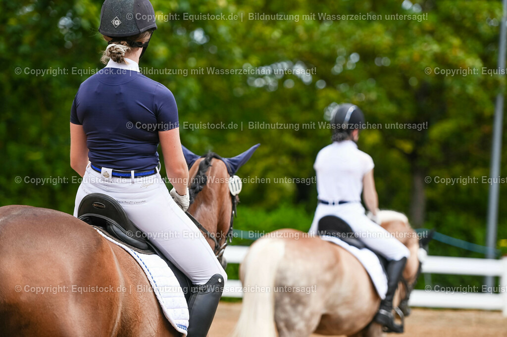 20230715_05_Dressurprüfung Kl.A++_0113 | equistock