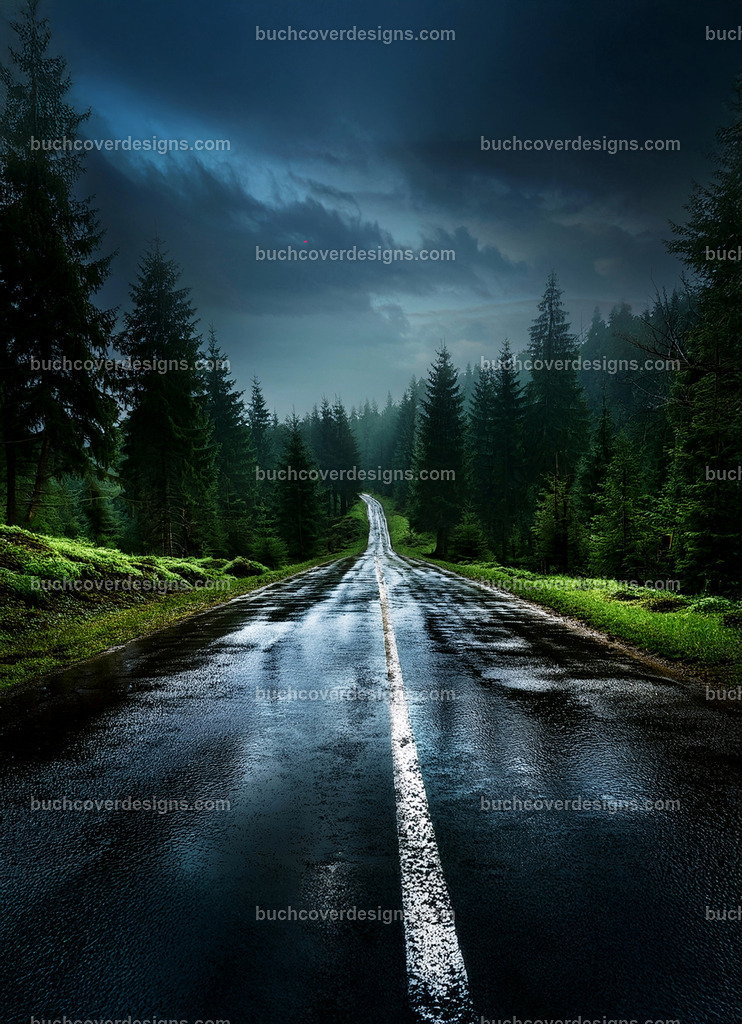 Asphalt Wald Straßen | Entdecken Sie kreative Buch Cover Designs für Self-Publishing-Autoren und Verlage! Unsere maßgeschneiderten Designs ziehen Leser an und bringen Ihre Geschichten visuell zum Leben. Lassen Sie uns Ihr perfektes Cover gestalten!