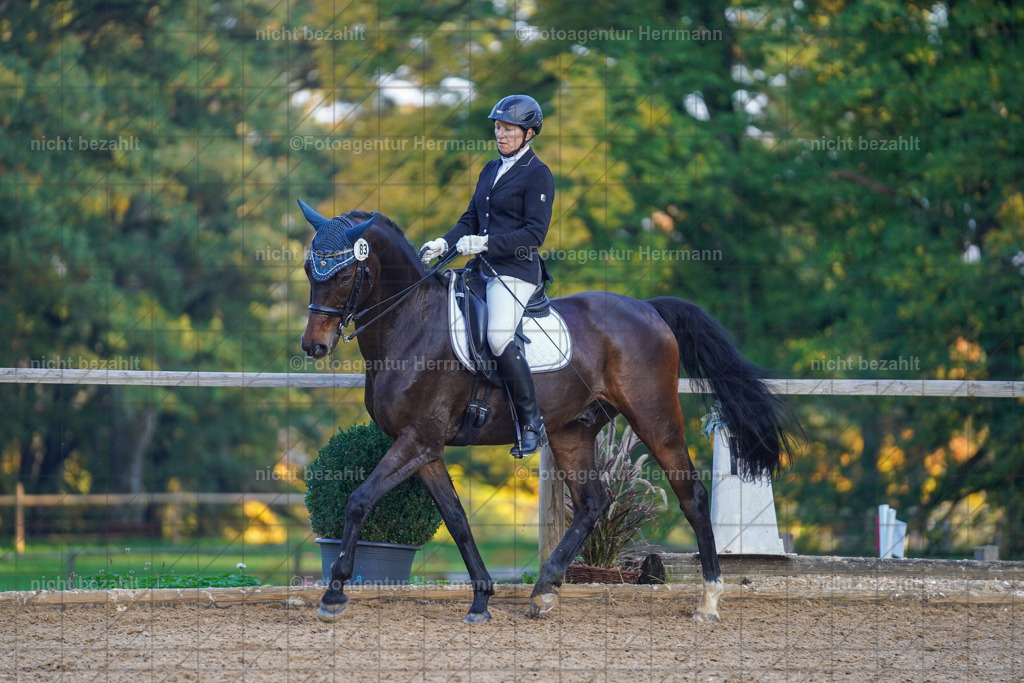 20221007-FAH00505 | Diessen am Ammersee, 2022, Dressur- und Springturnier, Reitsportbilder, Turnierfotografen Bayern, Pferdefotografen, Fotoagentur Herrmann, Turnierbilder
