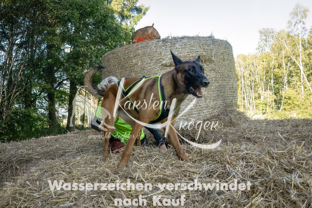 1449_ZZ94534-3-Bearbeitet | kk-dogfotos