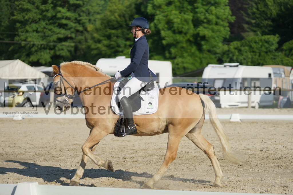 DSC02668 | equestrian-live-com