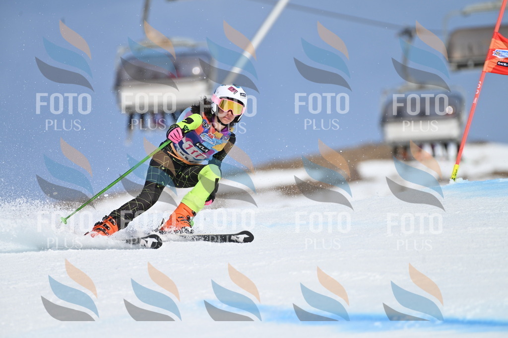 BGV_9751 | holidayphoto