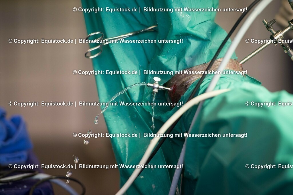 20160315_Arthroskopie_0044 | equistock