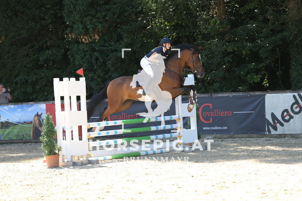 DL2Q8554 | Willkommen bei Brunnmayr - Design & Fotografie – Ihrem Spezialisten für Reitturniere und Pferdeveranstaltungen in Oberösterreich, Salzburg und Bayern! Seit über 17 Jahren sind wir leidenschaftlich dabei.