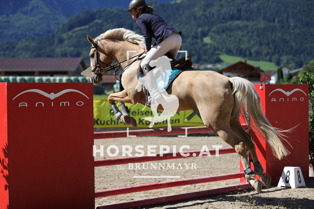 0P6A5709 | Willkommen bei Brunnmayr - Design & Fotografie – Ihrem Spezialisten für Reitturniere und Pferdeveranstaltungen in Oberösterreich, Salzburg und Bayern! Seit über 17 Jahren sind wir leidenschaftlich dabei.