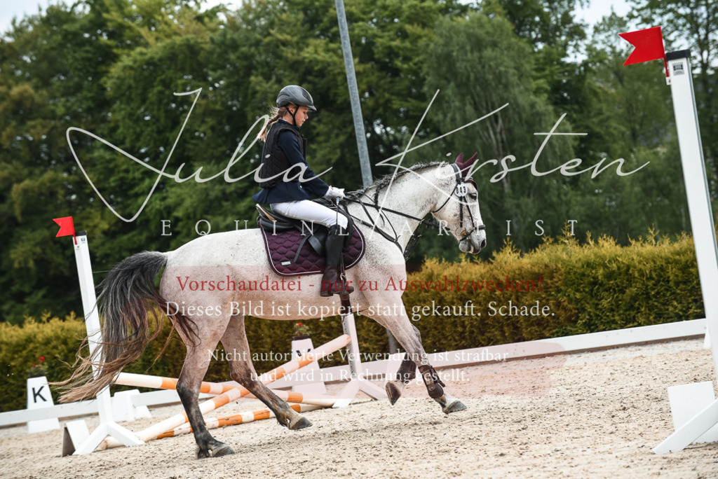 20230518_JK-Röhrsdorf-10-566 | Pferde- und Turnierfotografie in Westsachsen. Pferdeportraits, Auftragszeichnungen und intuitive Kunst.