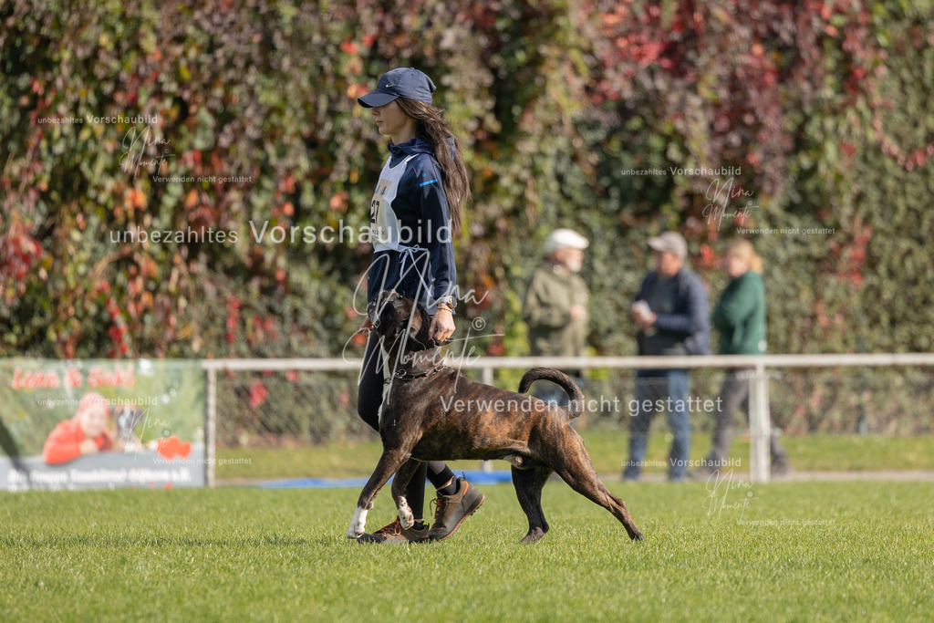 _16A5676 | Einzigartige Fotos von Hunden & Menschen –Actionfotos, Portraits, Vereinsaufnahmen & Paarshootings – authentisch, lebendig & mit Herz.