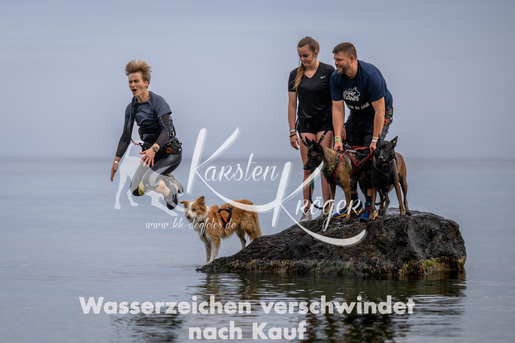 1223_ZZ91379 | kk-dogfotos