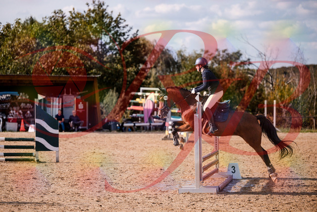 2026_10_03_Siefer-Hof_155332_Z81_73031369 | Professionelle Reitsport-, Turnier- und Eventfotografie von Robert Broda. Galerien mit ausgewählten und bearbeiteten Bildern direkt online ansehen und bestellen.